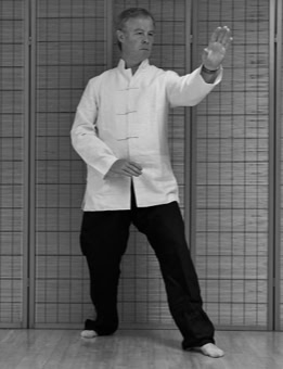 Stephen Forde SanTi Posture