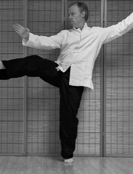 Stephen Forde Tai Chi kick