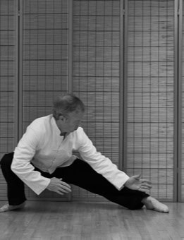 Stephen Forde Tai Chi Low Posture